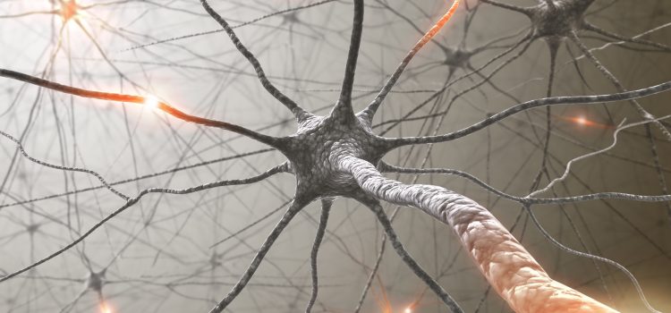 Protected: Building an Emotionally Intelligent Team